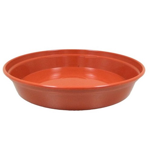 Stewart round plastic plant - plastic,
