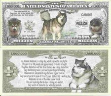 Alaskan Malamute Dog Lover