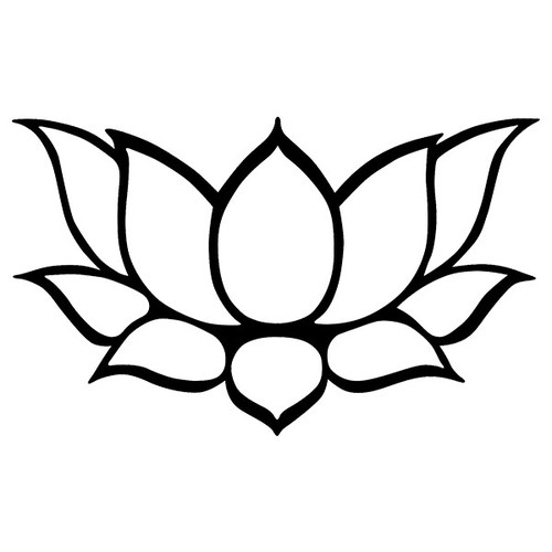 Lotus flower floral - lotus,