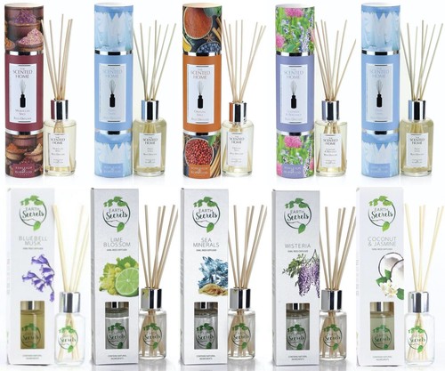 Ashleigh burwood reed - burwood,