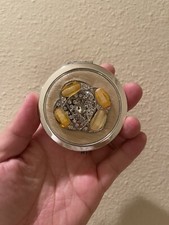 Macintosh Compact Mirror By Leonardo