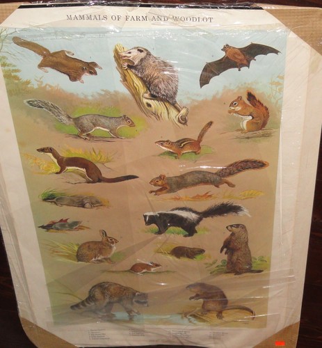 1964 game commission poster - commission,