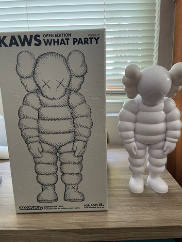 Kaws what party vinyl - what,