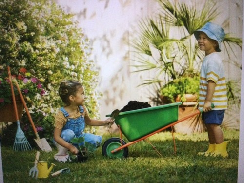 Member mark wheelbarrow - mark,
