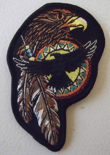 Hawk head feathers flying - hawk,