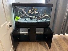 Upgraded Fluval Roma 200L Fish