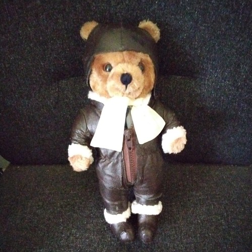 Vintage retired aviator pilot - vintage,
