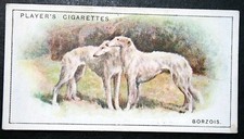 BORZOI   Vintage 1925