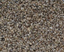 Hemp Seed Premium Animal Feeds