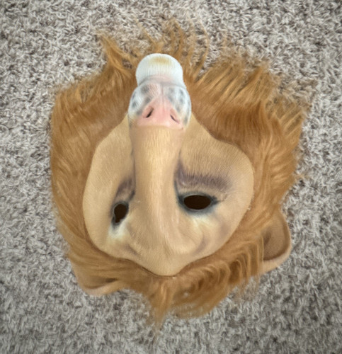 Lion full face latex costume - lion,