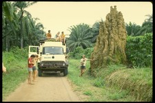 629035 Termite Mound Zaire A4