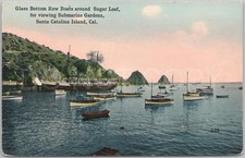 Artistic Antique Postcard Glass Bottom Boats Santa Catalina Island United States