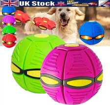 Roarrave Children's Step Press