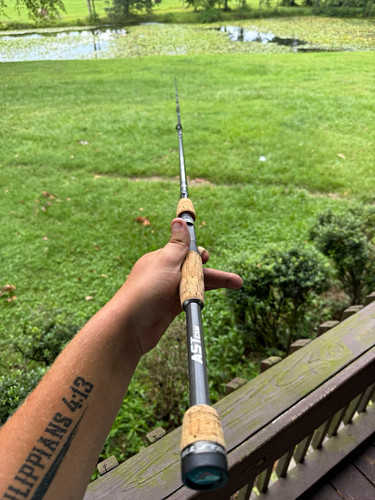 Daiwa tournament special - tournament,