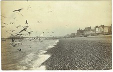 BRIGHTON  POSTCARD - SEAFRONT WITH GULLS BRIGHTON SUSSEX  1907
