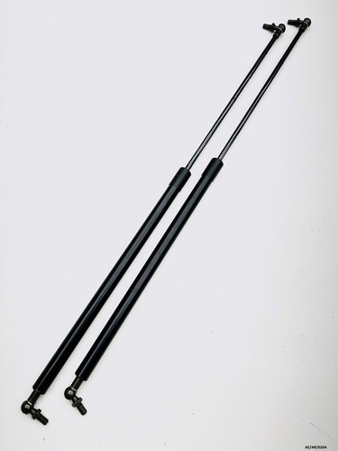 Bonnet hood gas lift - x,