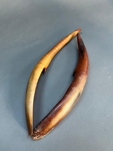 Pair african hand carved - pair, hand-carved