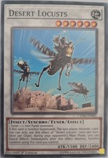 Desert Locusts - CHIM-EN082 - Common - 1st Edition - YuGiOh