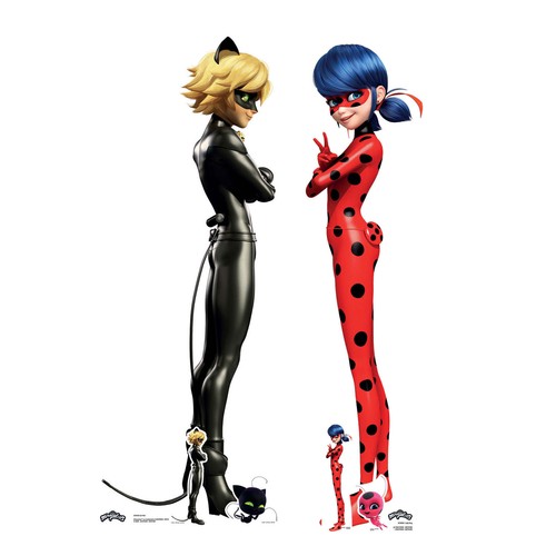 Ladybug and cat noir - cat,
