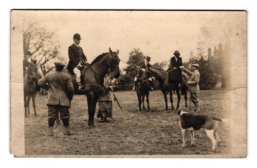Fox hounds english - hunt, meet
