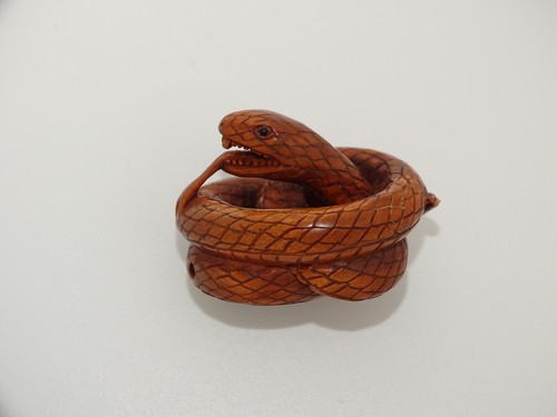 Chinese wood carved coiled