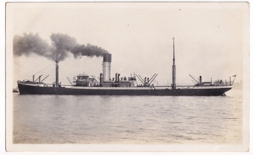 Rhexenor blue funnel - ss,