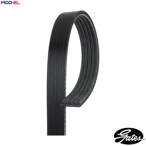 Vribbed belt 5pk1220 - vribbed,