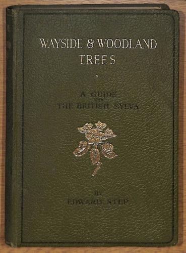 Wayside ans woodland - ans, trees,