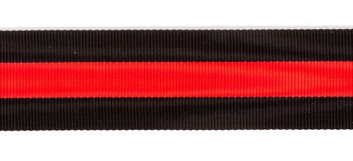 G10 german sudetenland medal - g10,