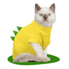 Hairless Cat Dog Kitten Puppie