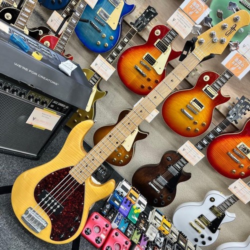 Olp musicman stingray 5 - olp,