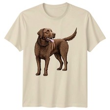 Chesapeake Bay Retriever Dog