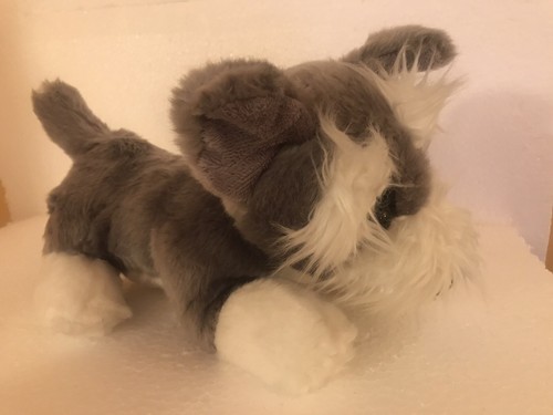 Morrisons schnauzer puppy dog - morrisons,