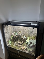 Terrarium