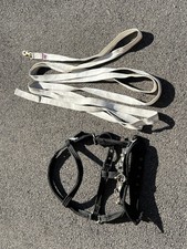 Black Full Size Lunging Cavesson & White Lunge Line
