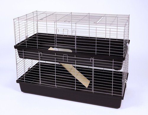 Ollesch double rabbit - rabbit, guinea