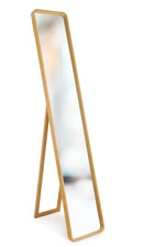 5ft Free Standing Mirror Light