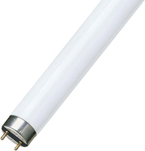 Osram 2ft 18w - warm, white