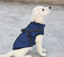 Autumn winter pet vest - autumn,