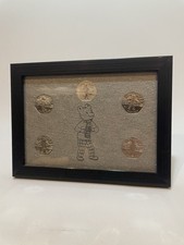 50p Coin Display Frame For Rupert The Bear Collection  For Your Full Set