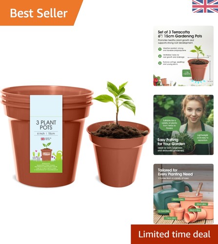 Set elegant terracotta - elegant,