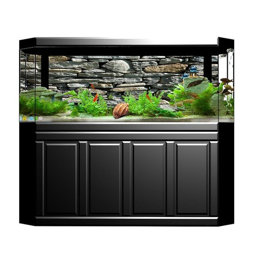 New background backdrop - 3d,