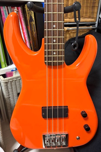 Fleabass electric bass - electric,