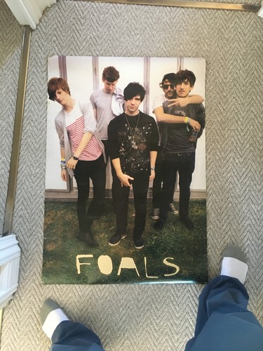 Large 85x60cm foals poster - large,