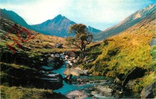 Picture Postcard:-Isle of