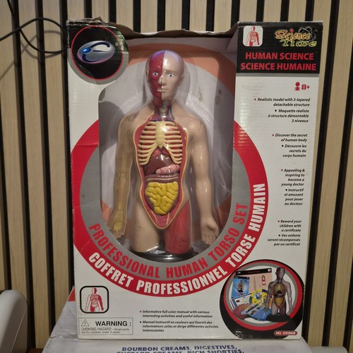 Human science male - human,
