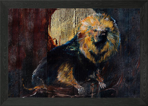 Golden lion tamarin framed - lion,
