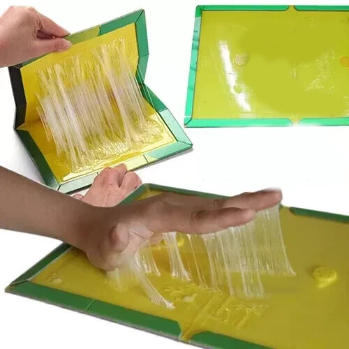 Glue traps non - non-toxic, super