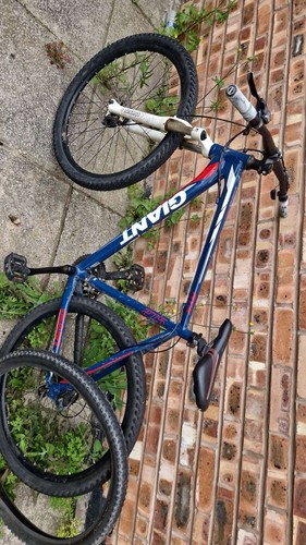 Giant mountain bike 5 - mountain,