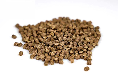 Course fishing pellets all - course,